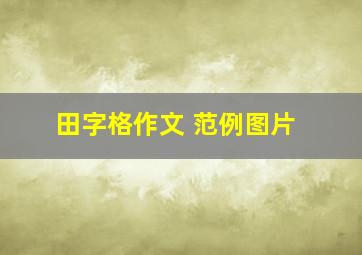 田字格作文 范例图片